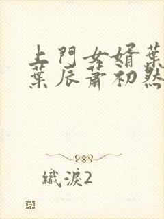上门女婿叶辰 叶辰萧初然531