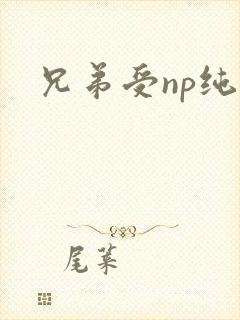 兄弟受np纯肉
