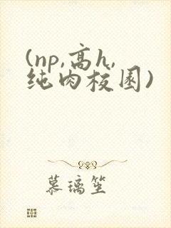 (np,高h,纯肉校园)封面