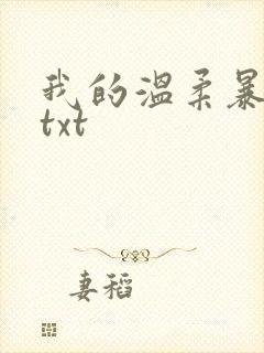 我的温柔暴君 txt
