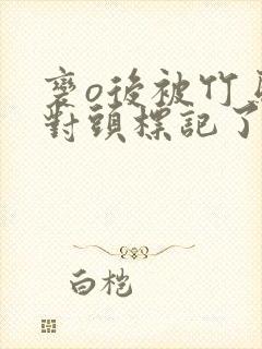 变o后被竹马死对头标记了笔趣阁