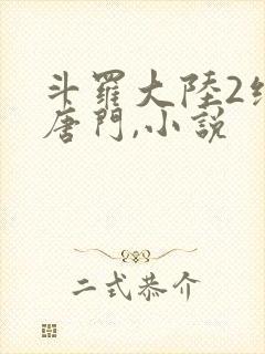 斗罗大陆2绝世唐门,小说