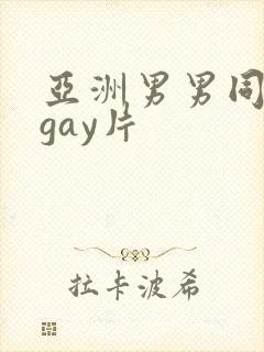 亚洲男男同性恋gay片