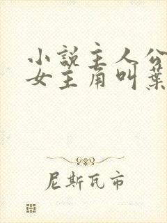 小说主人公林凡女主角叫叶惜
