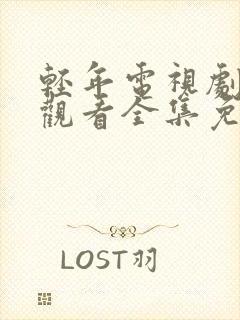 轻年电视剧在线观看全集免费播放