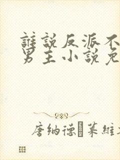 谁说反派不能当男主小说免费阅读