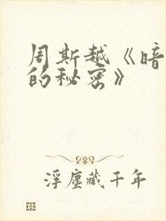 周斯越《暗格里的秘密》封面