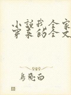 小说我全家都是穿来的全文阅读