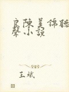 良陈美锦听书有声小说