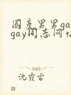 国产男男gaygay同志网站