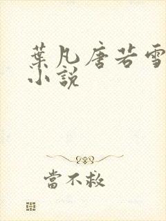叶凡唐若雪医婿小说