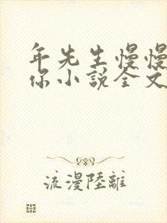 年先生慢慢喜欢你小说全文免费阅读封面