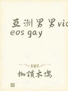亚洲男男videos gay
