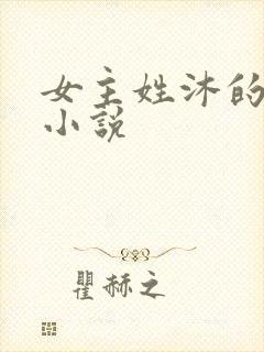 女主姓沐的现代小说