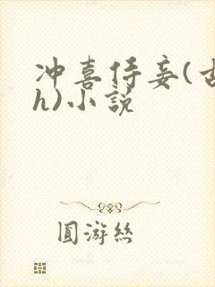 冲喜侍妾(古言h)小说