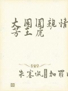 大团圆亲情会王芳王虎封面