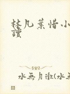 林凡叶惜小说阅读