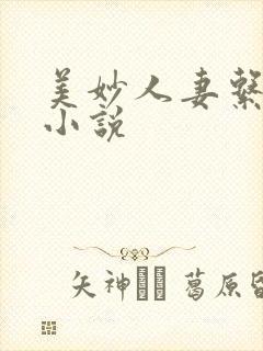 美妙人妻系列 小说封面