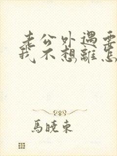 老公外遇要离婚我不想离怎么封面