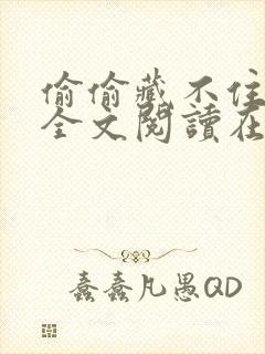 偷偷藏不住小说全文阅读在线