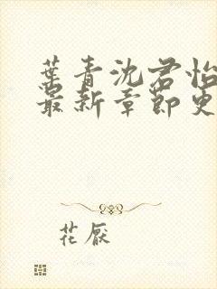 叶青沈君怡小说最新章节更新时间
