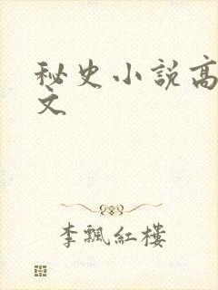 秘史小说高辣h文封面