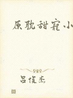 原耽甜宠小说