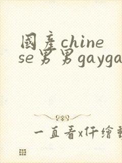 国产chinese男男gaygay网站软件