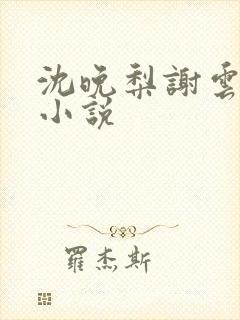 沈晚梨谢云迟的小说