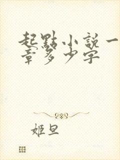 起点小说一般一章多少字封面