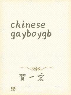 chinesegayboygb封面