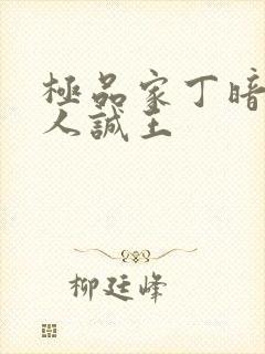 极品家丁暗黑同人诚王