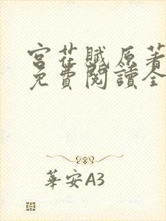 宫花赋原著小说免费阅读全文封面