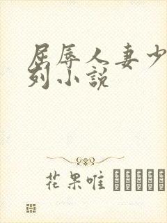屈辱人妻少妇系列小说封面