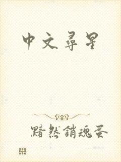 中文寻星