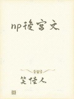 np后宫文封面
