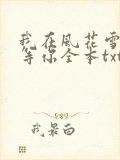我在风花雪月里等你全本txt