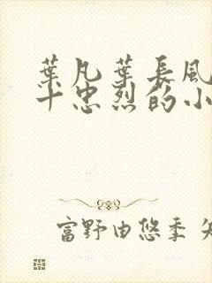 叶凡叶长风一门十忠烈的小说小说封面