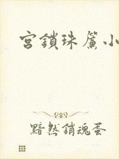 宫锁珠帘小说