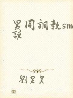 男同调教sm小说