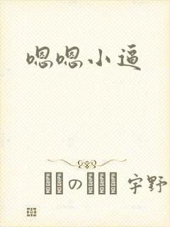 嗯嗯小逼封面