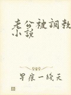 老公被调教男奴小说封面