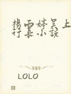 杨雨婷吴上进张行长小说