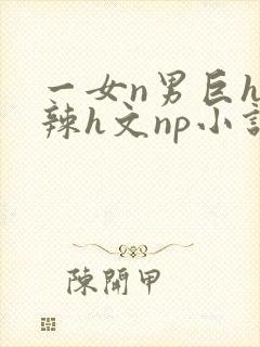 一女n男巨h高辣h文np小说