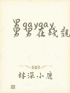 男gaygay男男在线观看