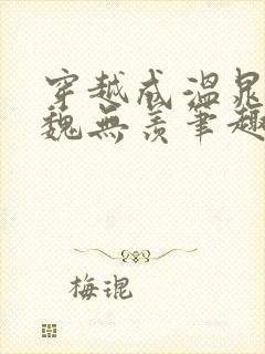 穿越成温晁cp魏无羡笔趣阁封面