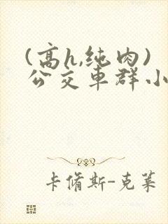 (高h,纯肉)公交车群小说