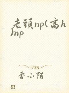 老头np(高h)np
