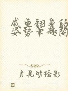 咸鱼翻身的正确姿势笔趣阁