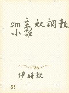 sm主奴调教文小说封面